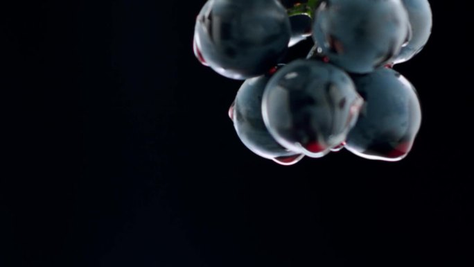 葡萄靠近。循环运动。品尝奢侈的葡萄。创造性的葡萄树。