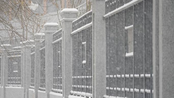 升格雪花飘落慢镜头 鹅毛大雪