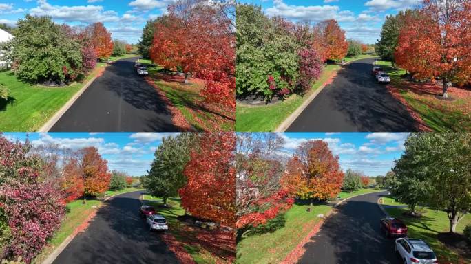 秋天的郊区道路，五彩缤纷的树叶和晴朗的蓝天。美国附近秋天的鸟瞰图。