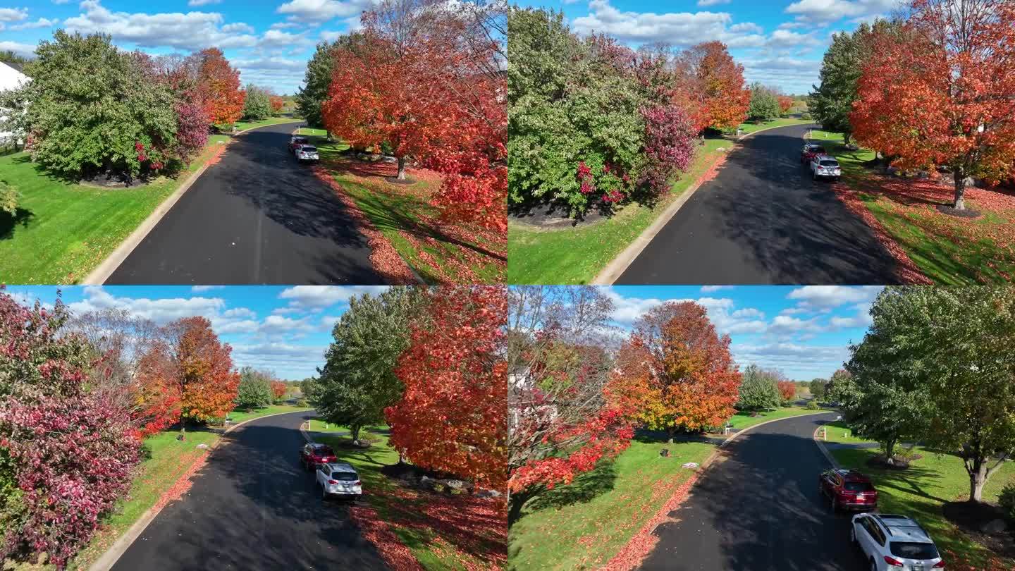 秋天的郊区道路，五彩缤纷的树叶和晴朗的蓝天。美国附近秋天的鸟瞰图。