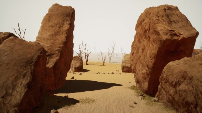 散落在沙漠景观中的石头。