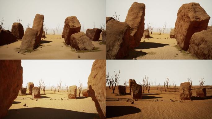 散落在沙漠景观中的石头。