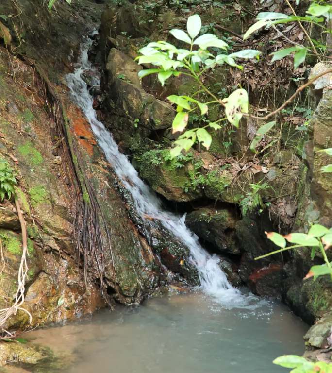 山间泉水小溪流