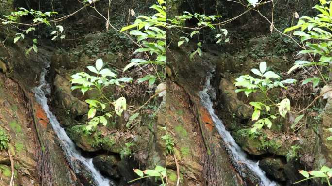 山间泉水小溪流