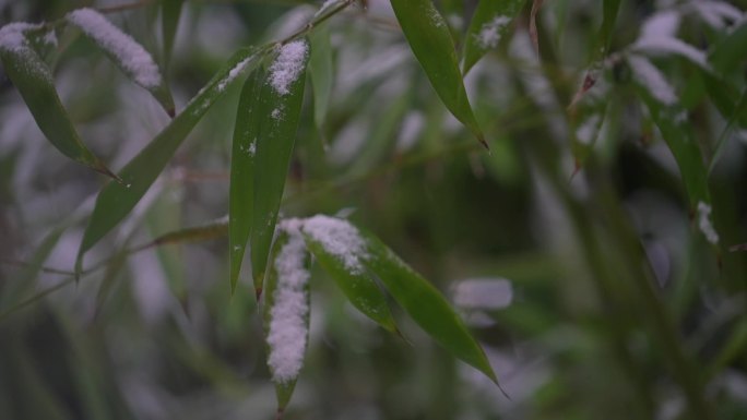 冬天公园雪景空镜