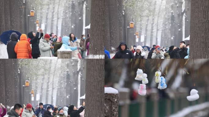 北海公园 游人赏雪 漫步打卡