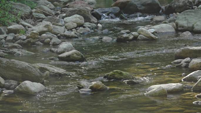 4K 溪涧钓鱼  山水