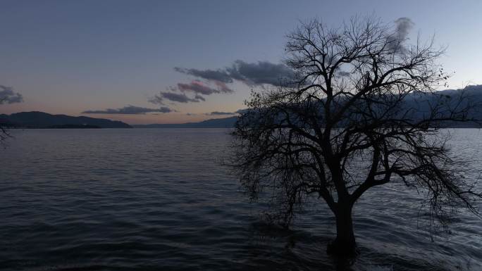 日出日落大理苍山洱海里唯美孤独的一棵枯树