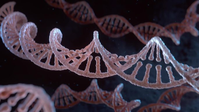 螺旋DNA链
