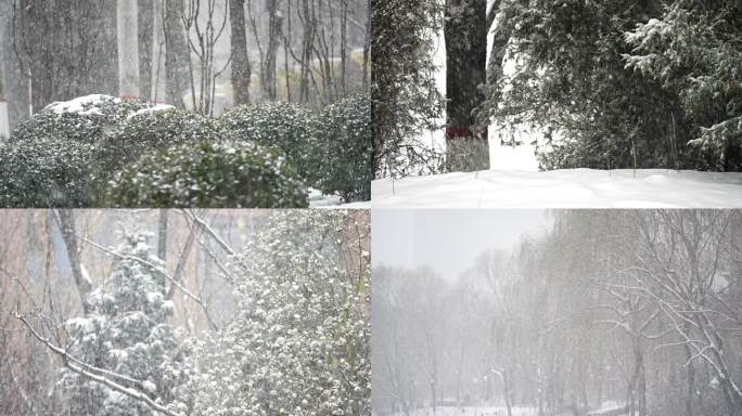 升格雪花飘落慢动作 系列