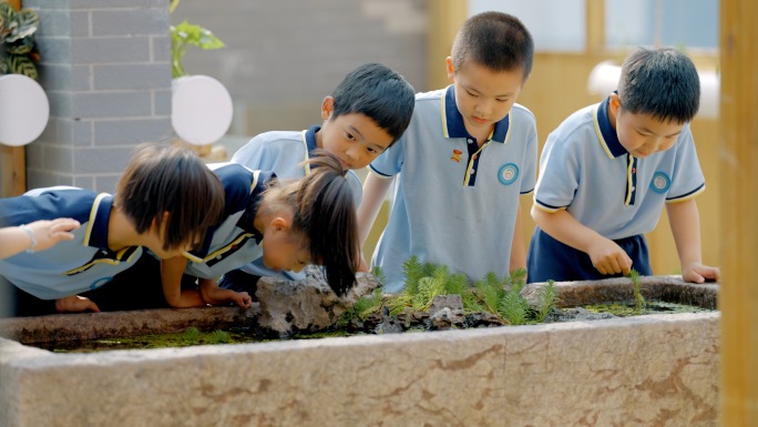 小学生课外活动、探索实践小孩观察植物昆虫