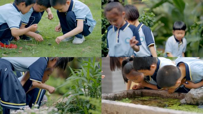 小学生课外活动、探索实践小孩观察植物昆虫