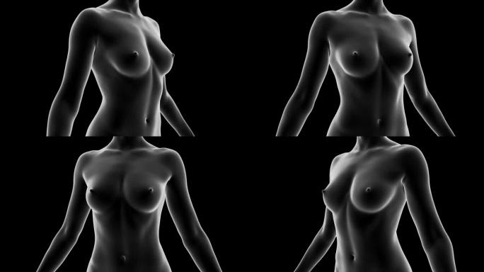 在黑色的背景下，精致的白色轮廓勾勒出女性的形体。