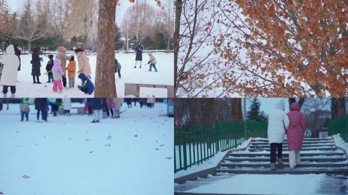 4K60冬季白雪，玩雪，公园雪景，打雪仗