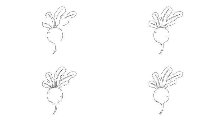 红萝卜图标的动画草图