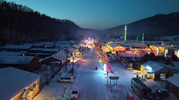 雪谷夜景