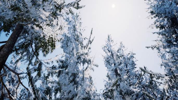 4k林海雪原旋转上升俯瞰