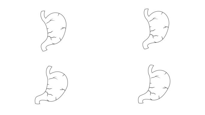 人类胃部素描的动画视频