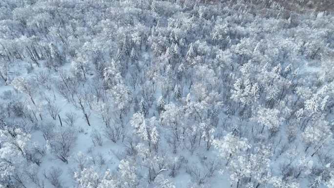 雪地摩托