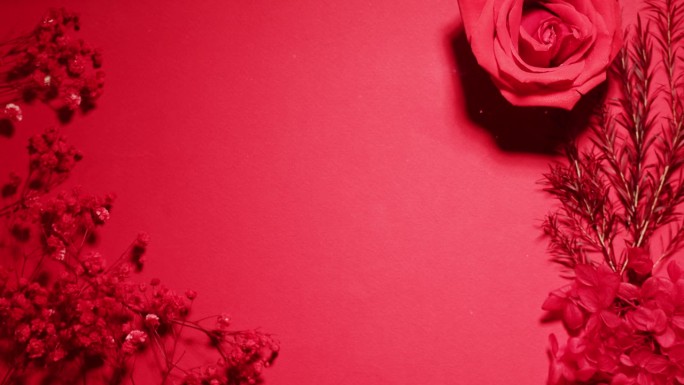 组成的花朵，蜡烛在粉红色的背景与水波俯视图特写。壁纸带有植物香气的物品
