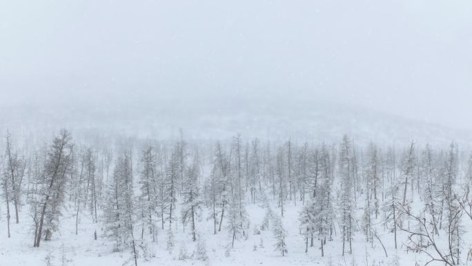 唯美雪景素材大屏背景舞台