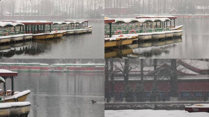 北海公园 下雪 脚踏船电瓶船 野鸭