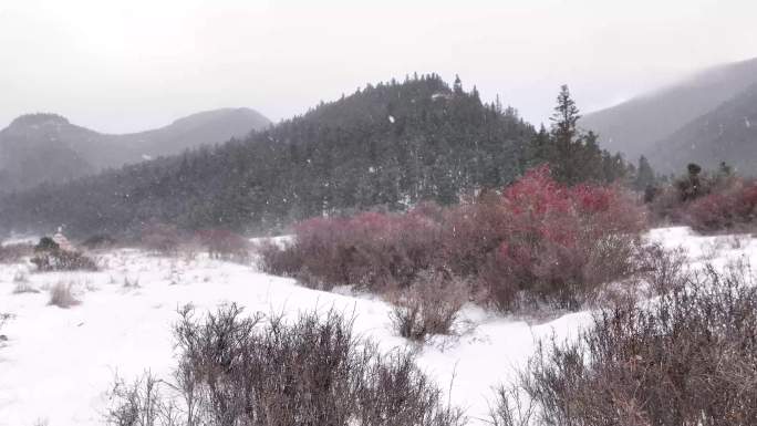 雪景3