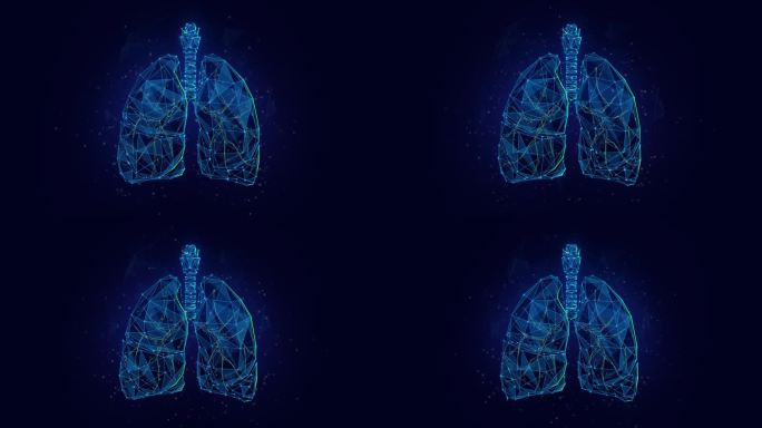 抽象动画低多边形插图呼吸人体肺由连接点和霓虹灯粒子。4K循环运动图形背景