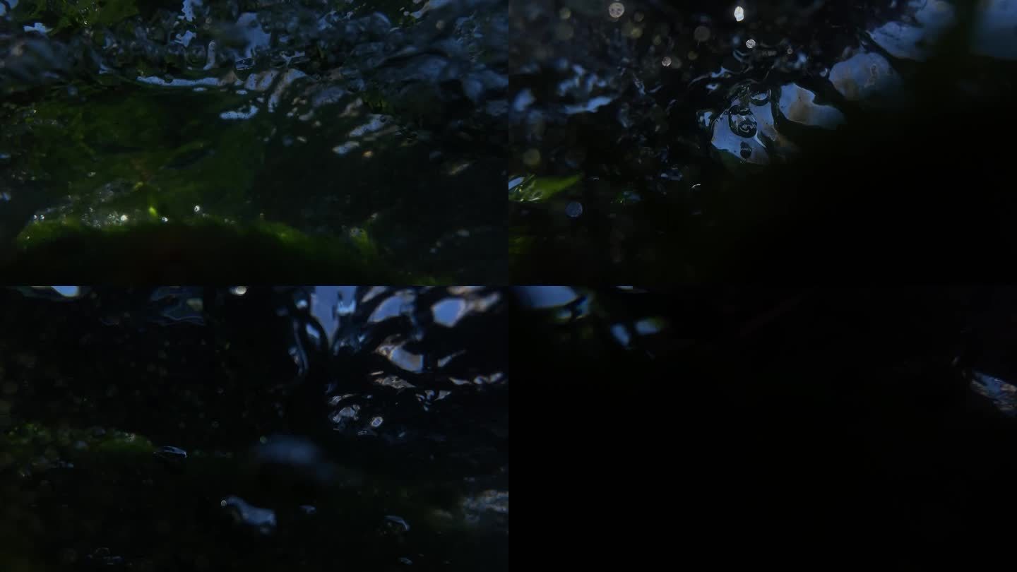 云南大理洱海水底拍摄水草水波纹慢动作