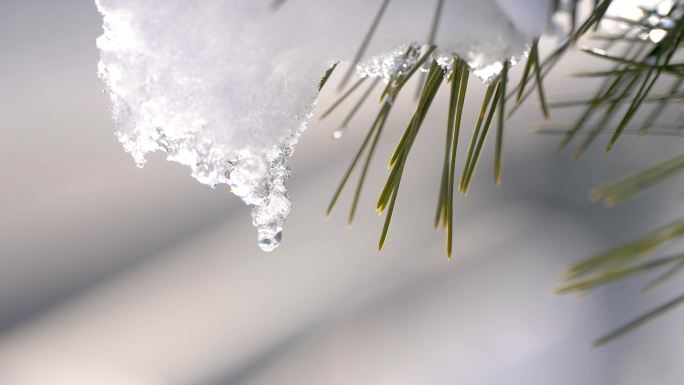 雪融化