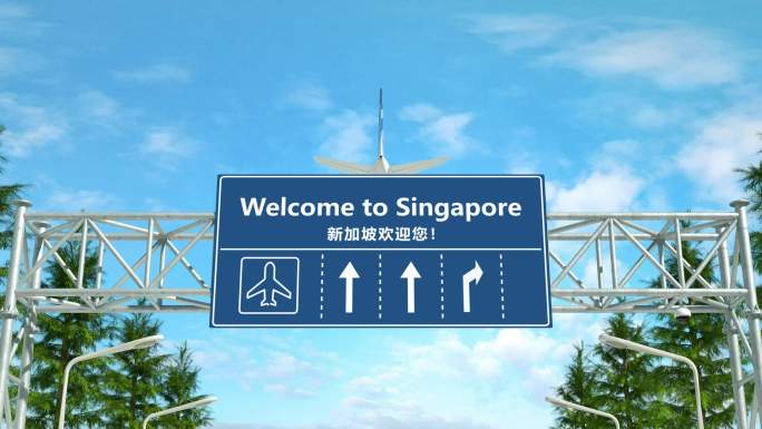 飞机降落新加坡