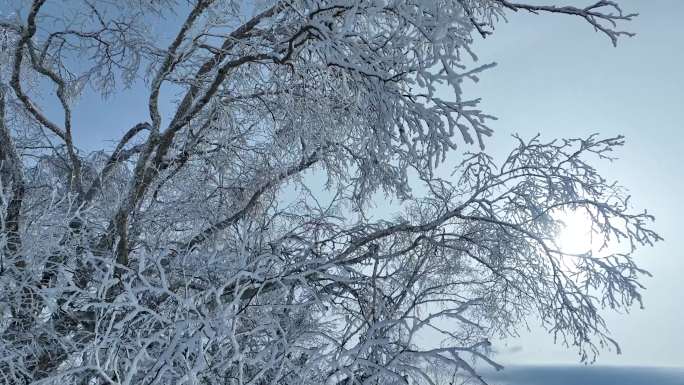 雪景