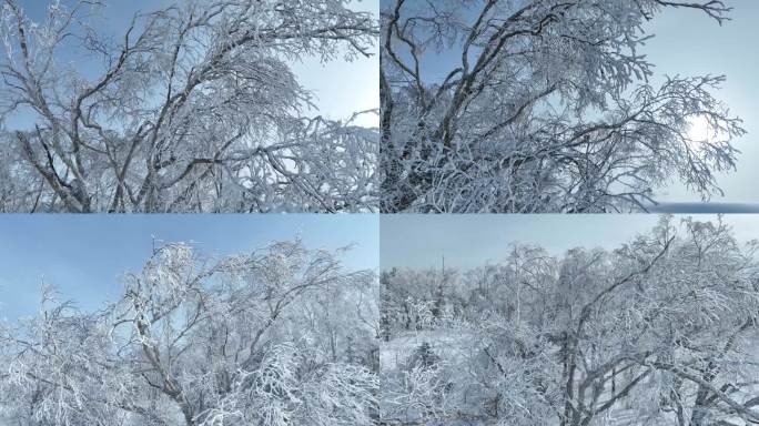 雪景