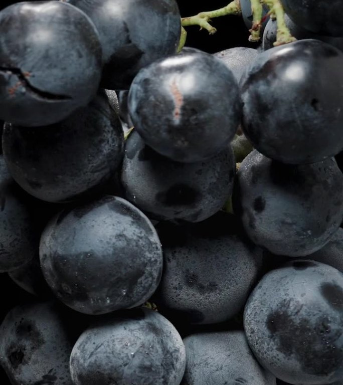 垂直视频。孤立的黑色背景，一串黑葡萄与圆浆果，特写旋转。