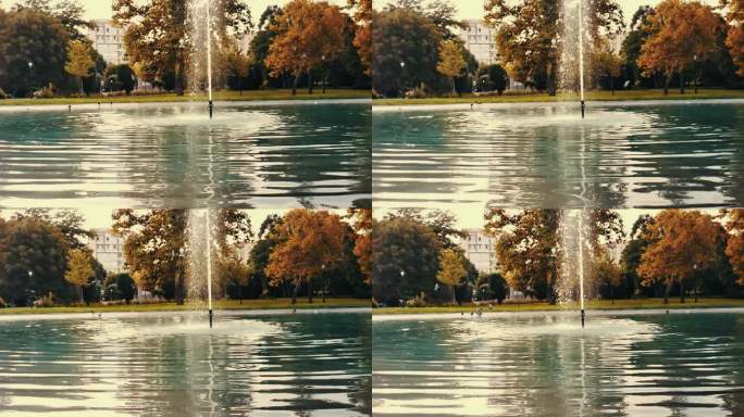 湖中喷泉缓缓落下的水滴，鸽子在背景中起飞，鸽子落地。秋天的心情概念，以棕色为主调