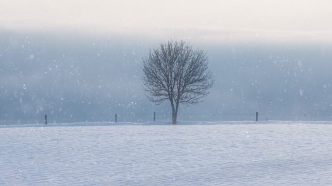 唯美雪景素材大屏背景舞台