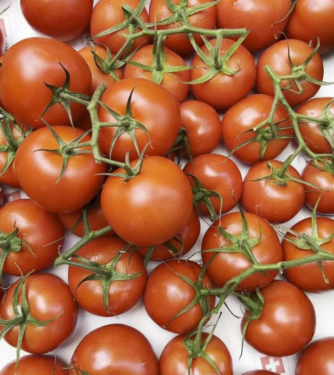 美丽的红番茄在农贸市场与保证瑞士质量印章