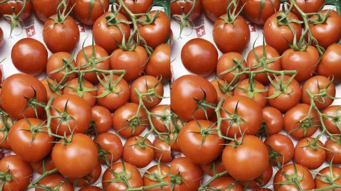 美丽的红番茄在农贸市场与保证瑞士质量印章