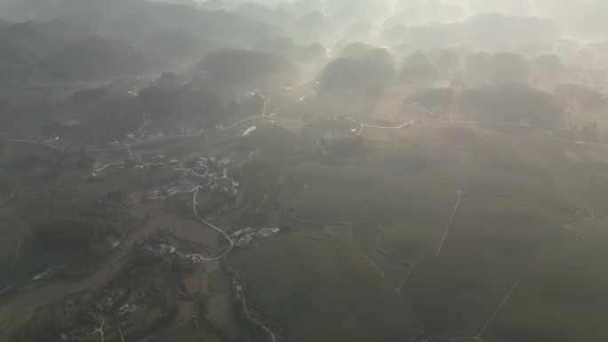 高空航拍云雾茶田茶乡清晨云海山脉风光