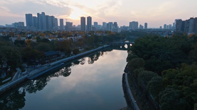 成都夕阳倒影在水中白鹭成群飞过秋天的银杏