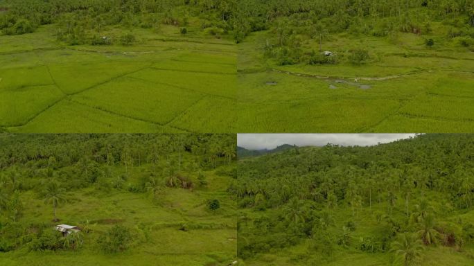鸟瞰稻田与盘向上揭示山地景观。经典菲律宾乡村的电影镜头。