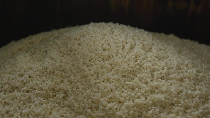 浙江 绍兴加饭酒的生产过程 蒸米