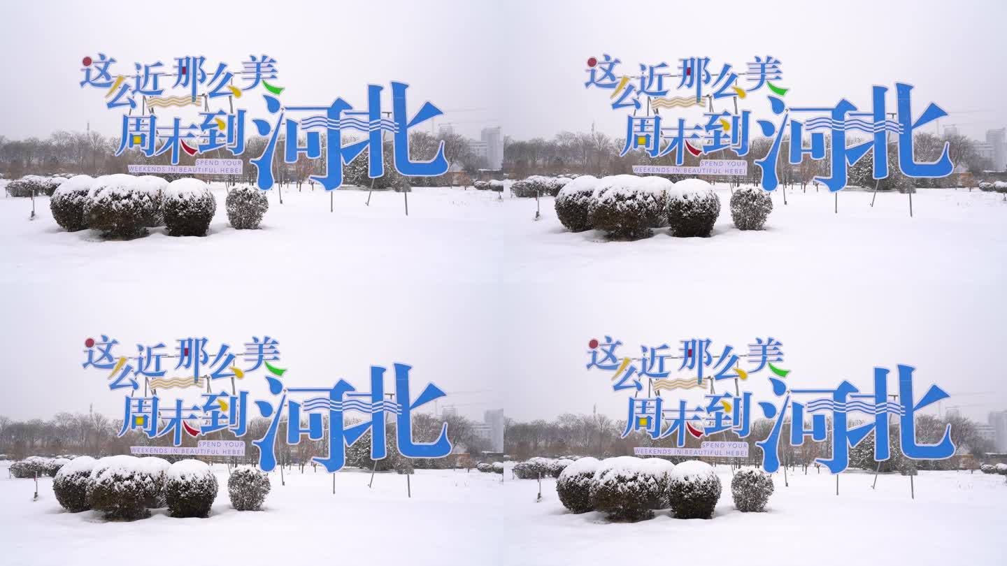 城市大雪出行 石家庄雪景  雪天出行