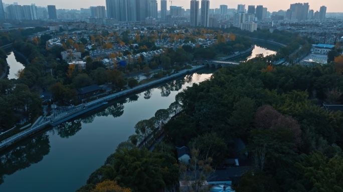 成都夕阳下金黄的银杏点缀着城市别墅小区