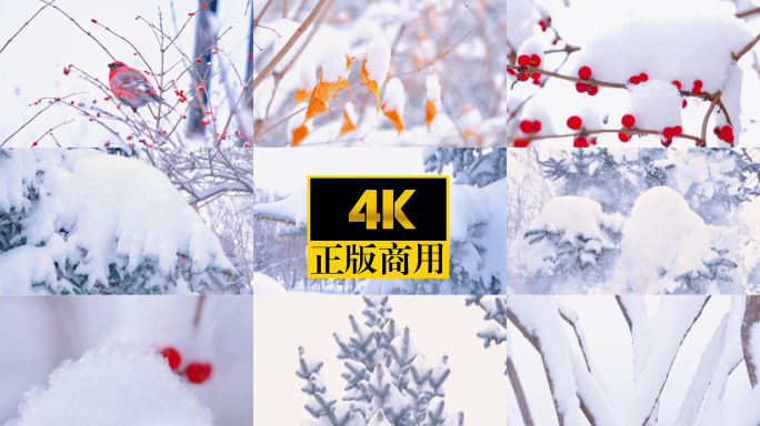 下雪纷飞 暴雪 立冬 唯美雪景 雪景视频