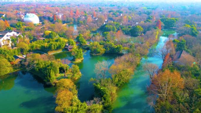 杭州西湖区西溪湿地美景风景视频素材99
