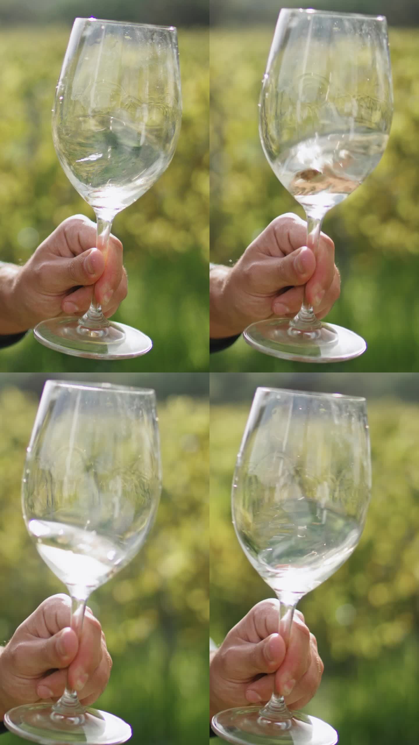 男子在葡萄园里摇着白葡萄酒酒杯垂直特写。品酒师品尝