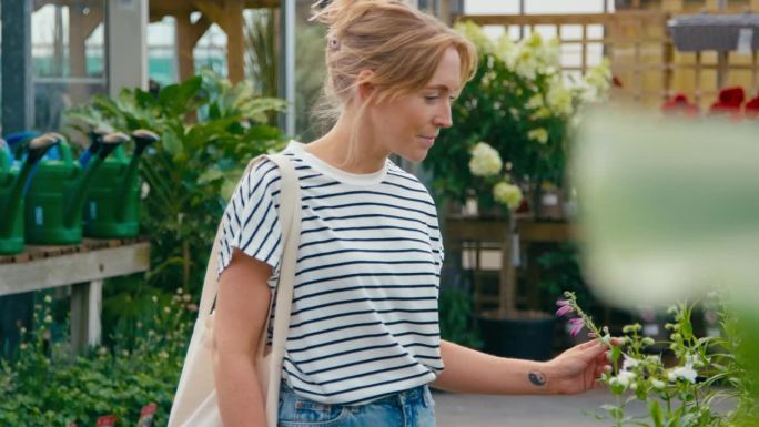 一名妇女在花园中心的温室里挑选和购买红色紫锥菊——慢镜头