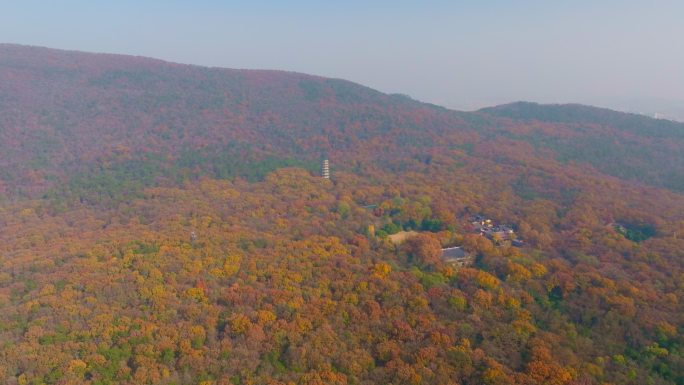 航拍南京钟山灵谷寺秋色