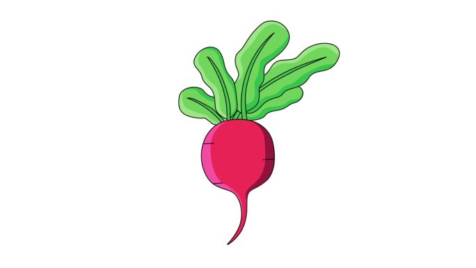 红萝卜图标的动画视频